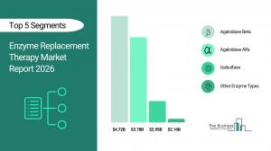 Enzyme Replacement Therapy Market Report 2026_Segment