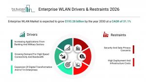 Enterprise WLAN Market Segmentation