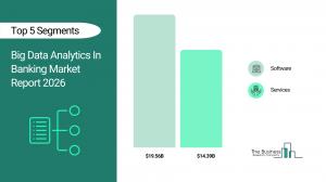 Big Data Analytics In Banking Market Report 2026_Segment
