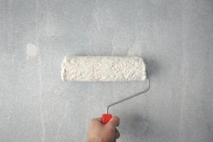 Painting Services in Colorado