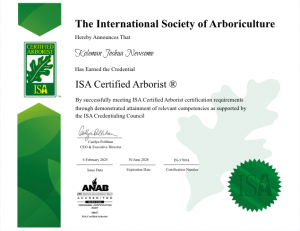 Certified arborist providing tree removal and pruning services in Muncie and Anderson Indiana