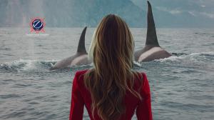 Designs Group Consulting Marine Mammal and Ocean Conservation Marketing Agency