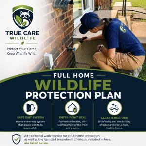 True Care Wildlife doing wildlife inspection on edmond home