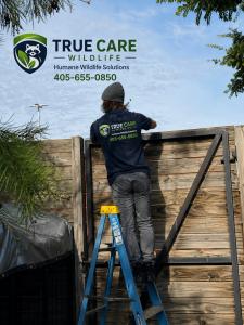 True Care Wildlife working to keep birds away at the homeless alliance