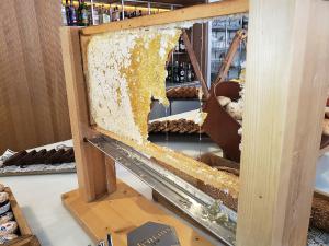 Gabriela Bratkovics White Plains