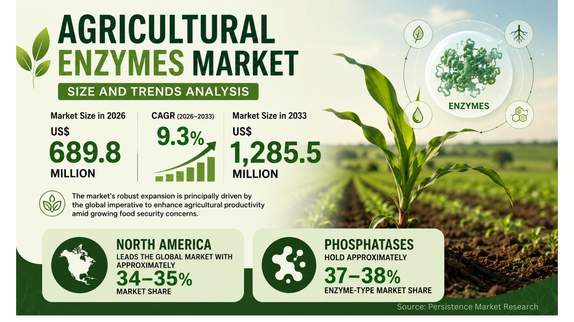 Agricultural Enzymes Market