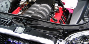 Interior services