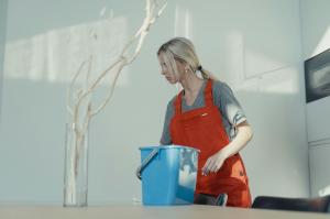Cleaner