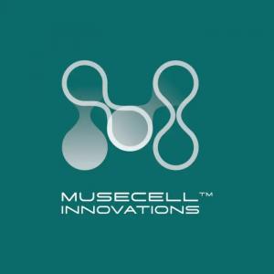MUSE Stem Cells