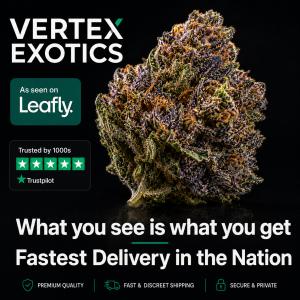 Vertex Exotics Trusted by 1000s