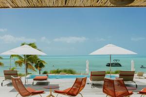 A scenic view from the shaded terrace of Ámbra Beach Club & Restaurant looking out over a beachfront swimming pool and the turquoise waters of Long Bay in Turks and Caicos, featuring white patio umbrellas and modern lounge seating under a bright blue sky.