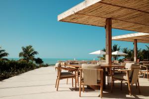 An open-air dining terrace at Ámbra Beach Club & Restaurant on Long Bay Beach , featuring modern wooden furniture under a rustic timber-framed roof , with white umbrellas and a clear view of the turquoise ocean in Providenciales, Turks and Caicos.