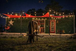 airbnb in fredericksburg tx 2027