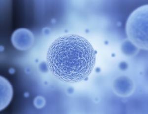 stem cell assay market