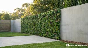 Artificial Hedges in California