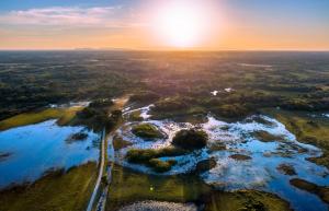 The Pantanal's ever-changing water cycle completely redefines its vast terrain