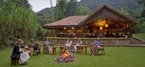 Luxury Lodge Uganda Gorilla Forest Camp Ovation Uganda DMC Strategic Partner