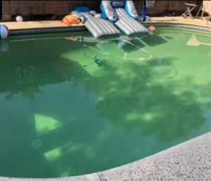 A backyard swimming pool with murky green water and floating toys, illustrating the result of poor filtration and chemical imbalance.