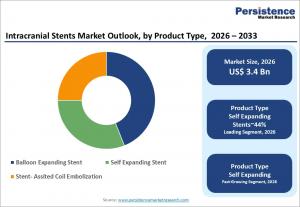 intracranial stents market