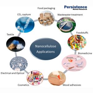 Nanocellulose Market
