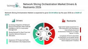 Network Slicing Orchestration Market Segmentation