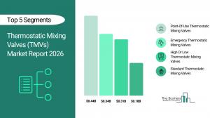 Thermostatic Mixing Valves (TMVs) Market Report 2026_Segments