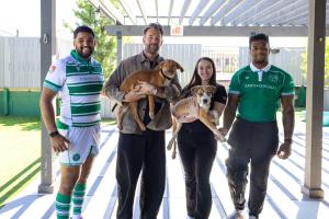 A photo of 4 people standing side by side: two rugby players wearing their team jerseys, one male holding a dog and one female holding another dog. They are standing outside.