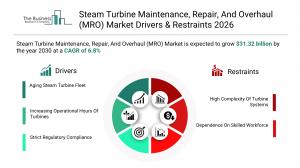 Steam turbine mro Market Growth Forecast
