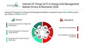 Internet of Things (IoT) In Energy Grid Management Market Growth Forecast