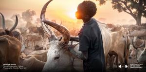 Vanishing Worlds by Roberto Pazzi | Photographer of the Year (Professional)