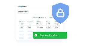 shopview payments