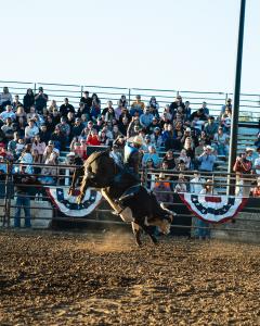 Humpz and Hornz Rodeo at the Sacramento County Fair