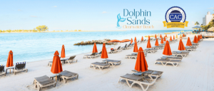 Beach with rows of empty lounge chairs and orange umbrellas at Dolphin Sands, Clearwater Beach, with a Certified Autism Center logo.