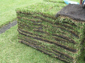 sod pallet..