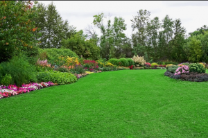 landscaping company jacksonville fl​..
