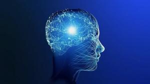 Neurological Activity