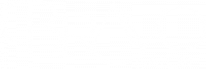 Bravo Salon