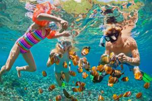 Where the Soul Exhales: Thailand's Rise as the Ultimate Destination for Women Travelling Together