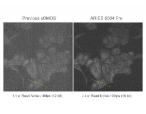 Image comparison against old scmos
