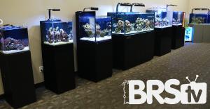 Seven beautiful reef aquariums displayed in a BRStv video production studio used for aquarium education and aquatics content creation.