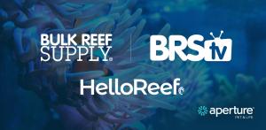 Logo lineup of Aperture Pet & Life e-commerce, media and education brands including Bulk Reef Supply, HelloReef, and BRStv.