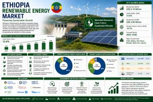 Ethiopia Renewable Energy Market