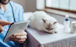 Veterinary Telemedicine Market