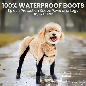 Walkee Paws dog boot leggings
