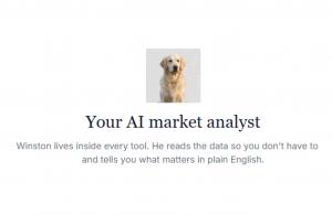 Winston app - ai stock market analysis app