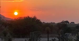 Sunset over cactus landscaping, open countryside, and distant hills at La Brisa Toscana.