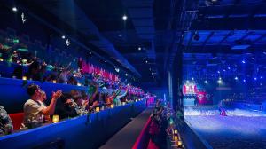 An enthusiastic crows cheers inside a dark arena.