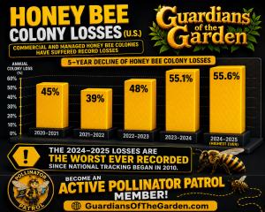 Honey Bee Colony Losses: The Worst Ever Recorded - Guardians of the Garden - Ai Wonder Studios
