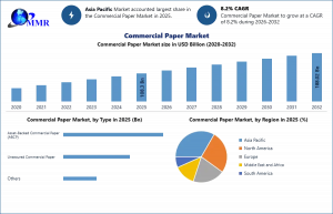 Commercial Paper Market