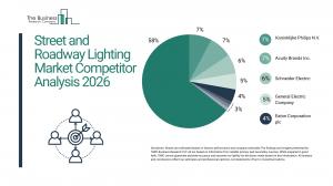 Street and Roadway Lighting Market Segments